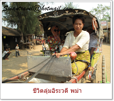 ทัวร์ต่างประเทศ พม่า13-20100525ชีวิตลุ่มอิระวดี
